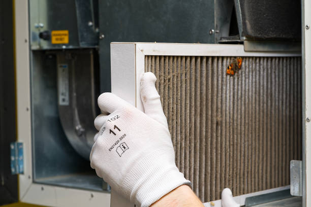 Best Air Duct Cleaning Near Me  in Rolesville, NC
